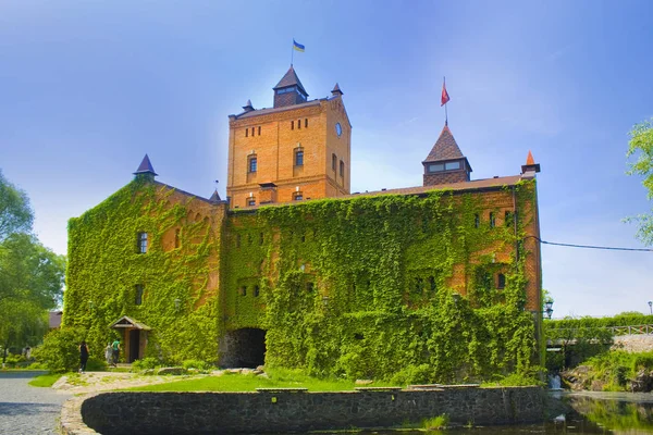 Radomysl, Ukrayna - 18 Mayıs 2019: Ukrayna'da Ünlü Radomysl Kalesi