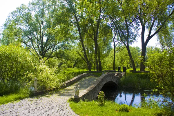 夏天小溪上的旧石桥 — 图库照片
