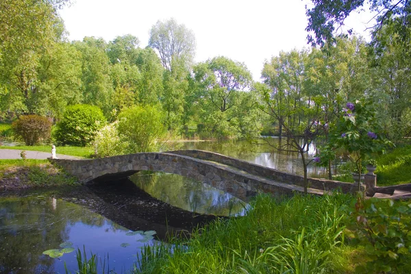 Stary Kamienny Most Strumieniu Lecie — Zdjęcie stockowe