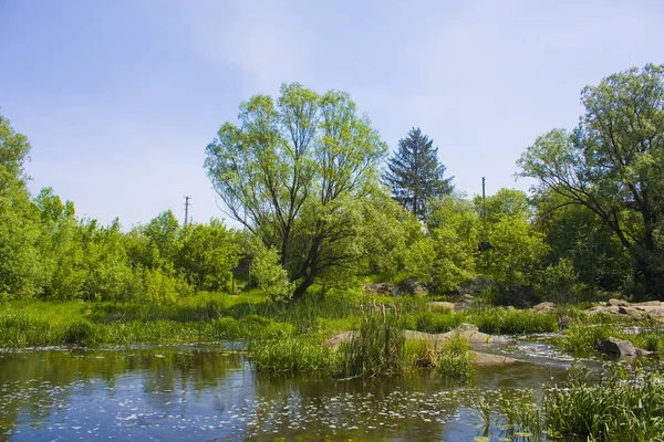 Живописный Вид Красивое Спокойное Озеро Зелеными Деревьями Берегу — стоковое фото