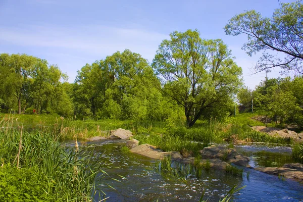 Vue Panoramique Magnifique Lac Calme Avec Des Arbres Verts Sur — Photo