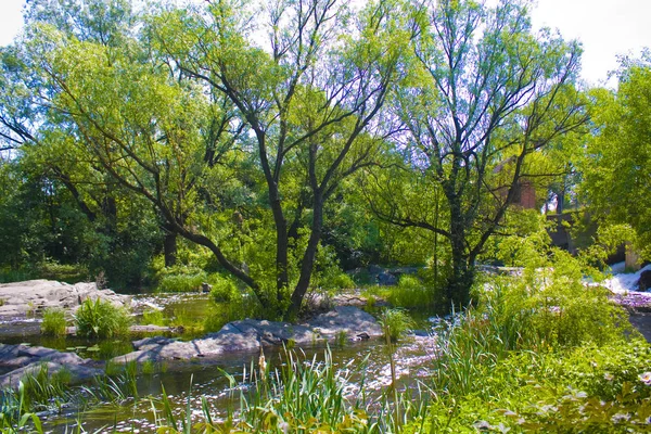 Piękny Widok Piękny Spokojny Jeziora Zielonych Drzew Brzegu — Zdjęcie stockowe