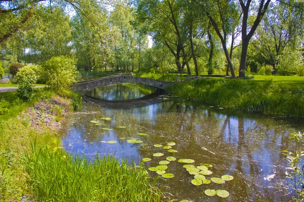 Old Stone Bridge Stream Summer — Stock Photo, Image