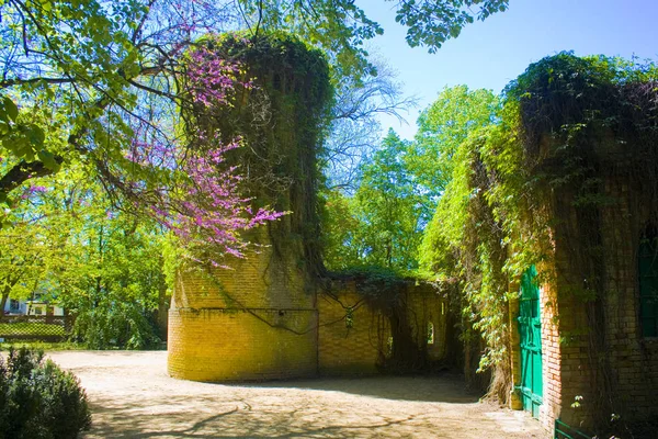 Askania Nova Kherson Region Ukraine May 2018 Water Tower Biosphere — Stock Photo, Image