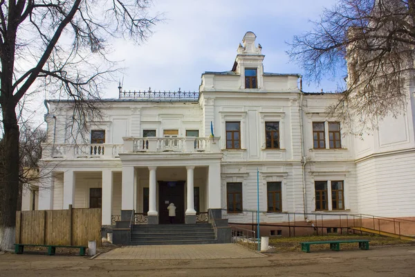Andrushivka Περιοχή Zhytomyr Ουκρανία Φεβρουαρίου 2019 Παλάτι Του Μπερζχινάνσκι Τερεστσένκο — Φωτογραφία Αρχείου