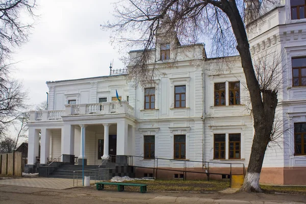 Andrushivka Região Zhytomyr Ucrânia Fevereiro 2019 Palácio Berzhinsky Tereshchenko Andrushivka — Fotografia de Stock