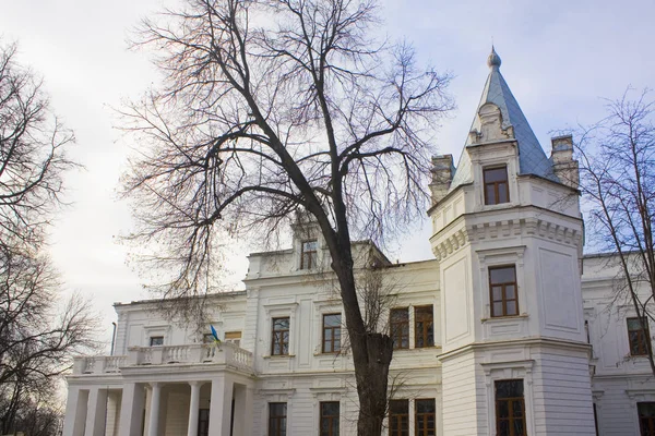 Andrushivka Region Zhytomyr Ukrajina Února 2019 Palác Beržinského Těščenko Andrushivce — Stock fotografie