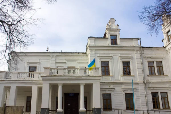 Andrushivka Περιοχή Zhytomyr Ουκρανία Φεβρουαρίου 2019 Παλάτι Του Μπερζχινάνσκι Τερεστσένκο — Φωτογραφία Αρχείου
