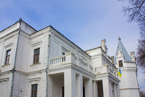 Andrushivka Regione Zhytomyr Ucraina Febbraio 2019 Palazzo Berzhinsky Tereshchenko Andrushivka — Foto Stock