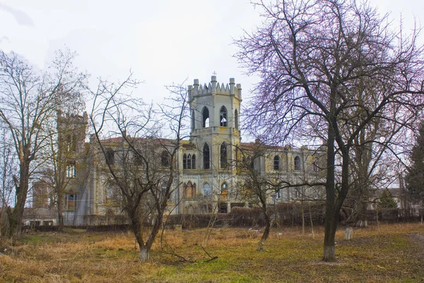 Chervonoe Región Zhytomyr Ucrania Febrero 2019 Palacio Tereshchenko Chervonoe —  Fotos de Stock