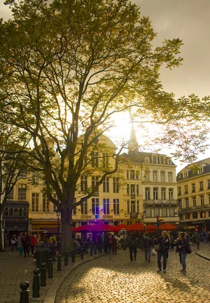 벨기에 브뤼셀 2019년 브뤼셀의 역사적인 건물로 둘러싸인 아고라 광장의 그래스 — 스톡 사진