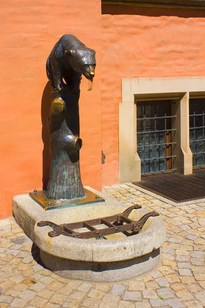 Wroclaw Pologne Juin 2019 Sculpture Ours Assoiffé Près Mairie Wroclaw — Photo