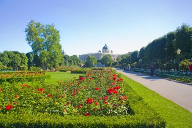 Viyana, Avusturya - 30 Haziran 2019: Volksgarten (Halk Bahçesi) - Viyana'daki halk parkı