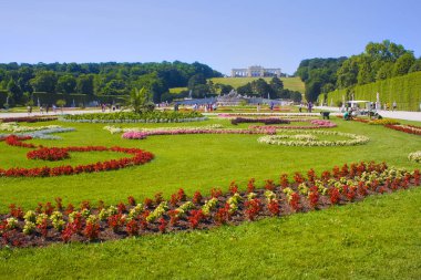 Viyana, Avusturya - 30 Haziran 2019: Gloriette Pavyonu ve Viyana'daki Schonbrunn Sarayı parkının manzarası