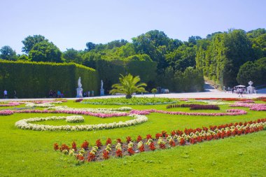 Viyana, Avusturya - 30 Haziran 2019: Viyana'daki Schonbrunn Park