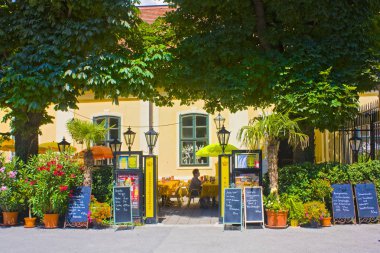 Viyana, Avusturya-Haziran 30, 2019: Street Café in Vienna