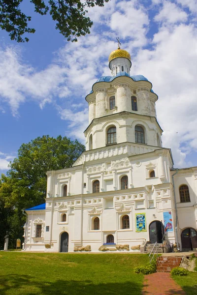 Chernigov Ukraine Jule 2019 Building Collegium Chernigov — Stock Photo, Image