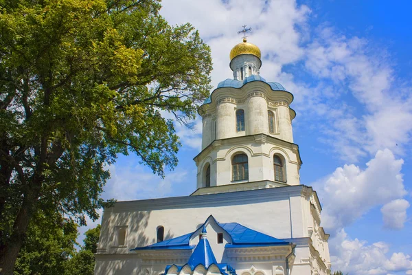 Chernigov Ukraine Jule 2019 Building Collegium Chernigov — Stock Photo, Image