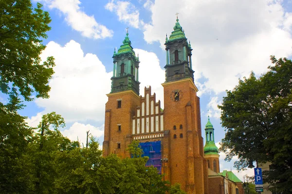 Poznan Polonya Daki Tumski Adasında Peter Paul Başpiskopos Bazilikası — Stok fotoğraf