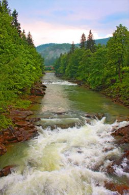Dağ nehir Prut Yaremche, Ukrayna