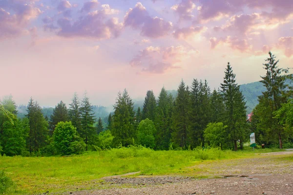 Peisaj Munți Pădure Apus Soare Yaremche Ucraina — Fotografie de stoc gratuită