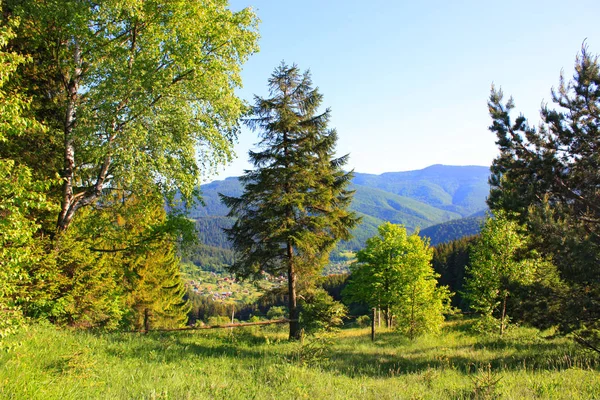 Krajobraz Widokiem Górę Makovitsa Jaremczach Ukraina — Zdjęcie stockowe