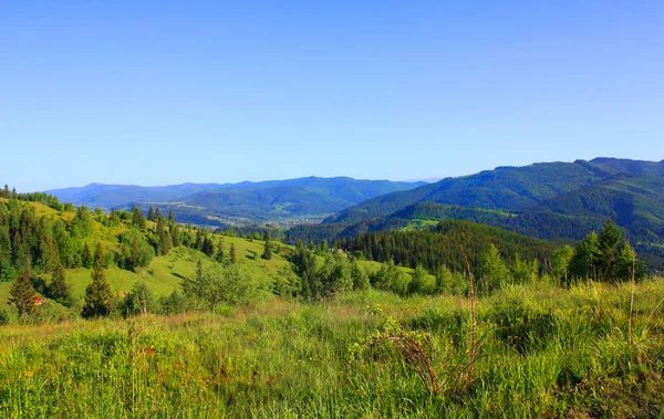 Yaremche ウクライナのマウント Makovitsa からの山々 のパノラマ — ストック写真