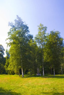 Chernigov bölgesinde devlet Dendrological Park Trostianets güneşli manzara, Ukrayna