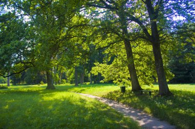 Chernigov bölgesinde devlet Dendrological Park Trostianets güneşli manzara, Ukrayna