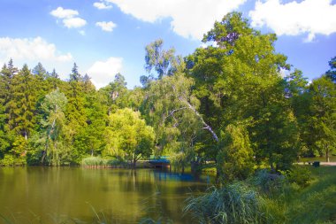 Chernigov bölgesinde State Park Trostianets bir göl ile peyzaj, Ukrayna