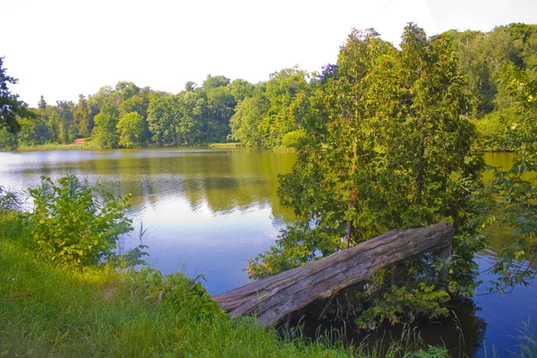 Landschaft Mit Einem See Staatspark Trostianets Tschernigow Region Ukraine — Stockfoto