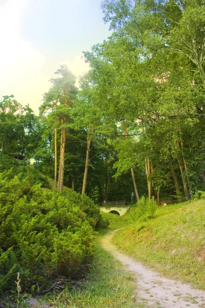 Zonnig Landschap Staat Dendrological Park Trostianets Chernigov Regio Oekraïne — Stockfoto