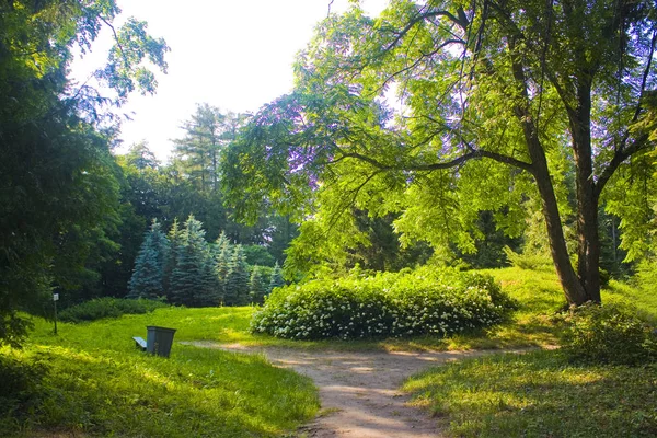 Paesaggio Soleggiato Nel Parco Dendrologico Statale Trostianets Nella Regione Chernigov — Foto Stock