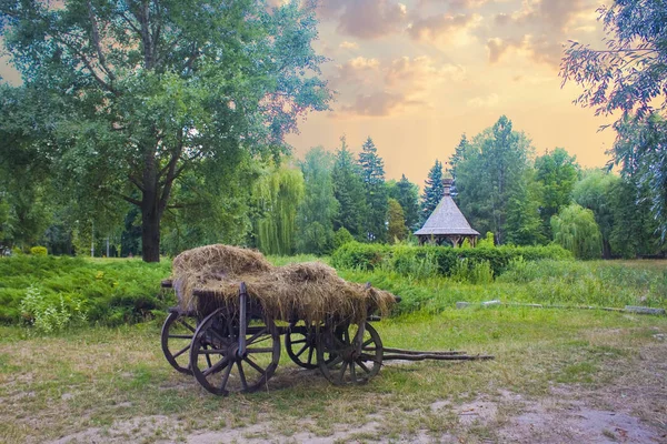 Pereyaslav-Khmelnitsky Halk Mimarisi ve Orta Dinyeper Yaşam Açık hava Müzesi'nde saman ile eski vagon