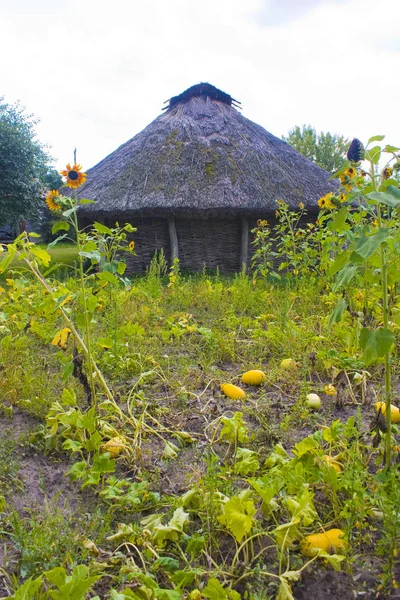 Kailyard Des Ukrainischen Hauses Dorf — Stockfoto