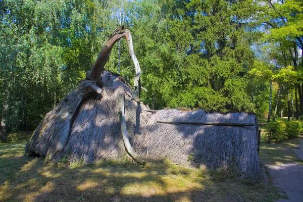 Rekonstruktion Bostäder Talet Open Air Museum För Folk Arkitektur Och — Stockfoto