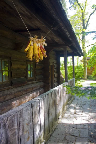 Essiccazione Del Mais Vicino Alla Casa Legno Ucraina — Foto Stock