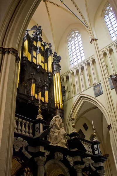 Belgium Brugge May 2019 Organ Salvator Cathedral Sint Salvatorskathedraal Brugge — Stock Photo, Image