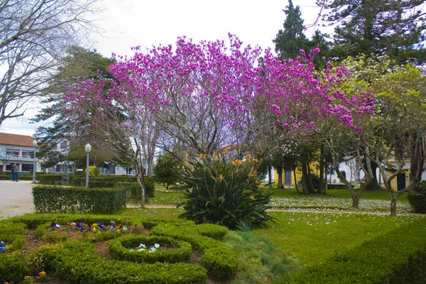 アヴェイロ ポルトガル 2019年3月3日 アヴェイロのインファンテ ペドロ公園 — ストック写真