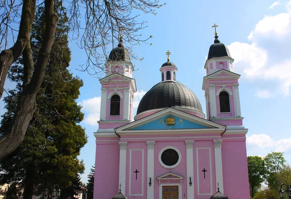 Catedral Del Espíritu Santo Chernivtsi Ucrania —  Fotos de Stock