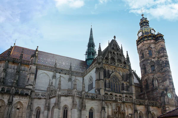 Elisabeth Katedralde Kosice Slovakya — Stok fotoğraf