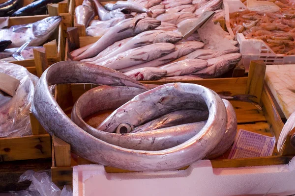 Fresh Needlefish at the fish market in Palermo, Sicily, Italy