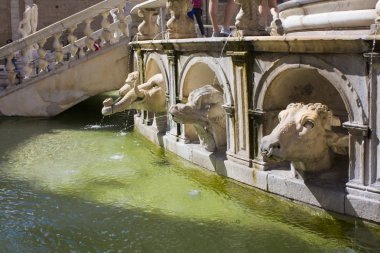 Palermo, Sicilya, İtalya 'daki Piazza Pretoria' da hayvan başlı Pretoria Çeşmesi.