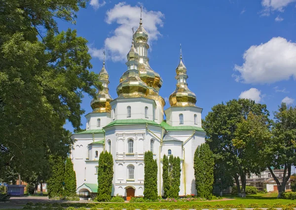 Drie Eenheid Kathedraal Gustynsky Klooster Chernihiv Regio Oekraïne — Stockfoto