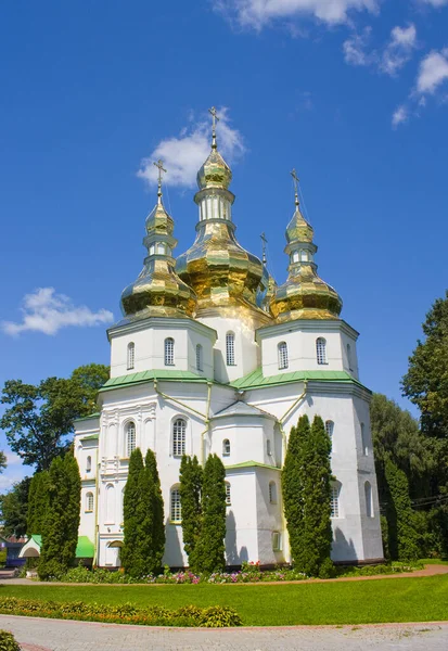 Cattedrale Della Trinità Nel Monastero Gustynsky Nella Regione Chernihiv Ucraina — Foto Stock