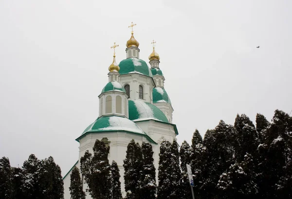 Николаевский Храм Глухове Украина — стоковое фото