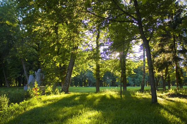 Sedniv Ukrayna Daki Lyzohub Ailesinin Yanına Park — Stok fotoğraf