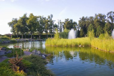 Mezhyhirya 'daki park (Başkan Yanukoviç' in eski cumhurbaşkanı ikametgahı) Ukrayna 'nın Kyiv bölgesinde