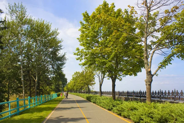 Πάρκο Mezhyhirya Στην Περιοχή Kyiv Ουκρανία — Φωτογραφία Αρχείου