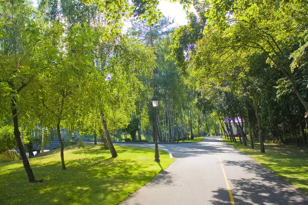 Parc Mezhyhirya Ancienne Résidence Ancien Président Ianoukovitch Dans Région Kiev — Photo